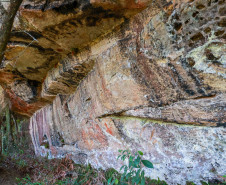 Cervos, araucárias e humanos: a pré-história do Paraná está nas paredes de Piraí do Sul