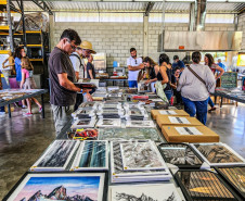 Casa Portfolio é um dos expositores confirmados para a 3ª edição do Mata Atlântica Ecofestival, no Campo das Artes.