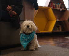 Biblioteca Pública do Paraná (BPP) - Seção Infantil - Leitura Amiga – Leitura de livros por crianças visitantes para os animais adestrados da ONG Cão Amigo, com coordenação da escritora Célia Cris. No sábado (24), às 10h.