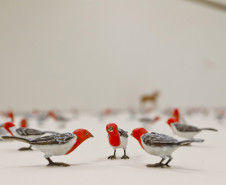 Paraná receberá Alceu Valença, Pato Fu, Mônica Salmaso e nova exposição no Alfredo Andersen