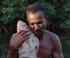 Na foto, O Peixe