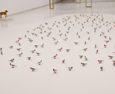 Colaboradores do MON falam sobre suas obras de arte preferidas