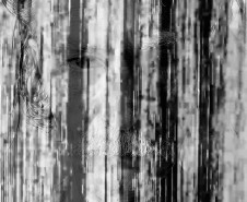 Museu da Imagem e do Som (MIS-PR) - Exposição Desver – Na terça (15), às 18h, o MIS-PR recebe a exposição "Desver", uma instalação multissensorial de Ivana Cassuli e Marcelo Borges Eggers, do grupo Blanche Bois, que explora os ciclos de vida e a ressignificação das percepções visuais e sonoras.
