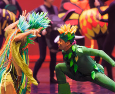 Balé Teatro Guaíra encerra 2024 com mais de 56 mil espectadores