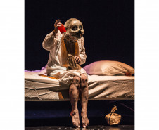 Ingressos para o 24º Festival Espetacular de Teatro de Bonecos já estão disponíveis