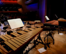 Entre famílias de instrumentos, movimentos e disposição: como funciona a Orquestra Sinfônica