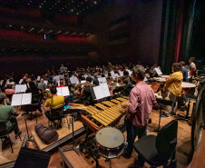 Entre famílias de instrumentos, movimentos e disposição: como funciona a Orquestra Sinfônica