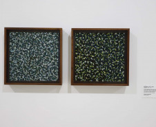 Arte para Maiores promove encontro na mostra “Veemente”, de Gabriel de la Mora