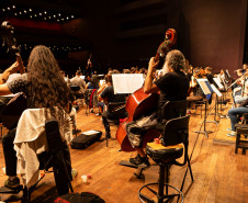 De elefanta a pilha de currículos para a escolha do 1º maestro: os causos da Orquestra Sinfônica