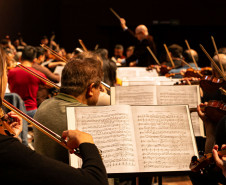 De elefanta a pilha de currículos para a escolha do 1º maestro: os causos da Orquestra Sinfônica