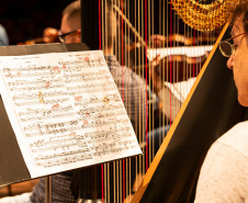 De elefanta a pilha de currículos para a escolha do 1º maestro: os causos da Orquestra Sinfônica