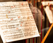 De elefanta a pilha de currículos para a escolha do 1º maestro: os causos da Orquestra Sinfônica