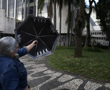 Doralice Araújo acompanha os concertos da Orquestra Sinfônica do Paraná há mais de 30 anos; na última década, passou a transformar essa paixão em arte.