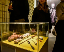 Atividades da Semana dos Museus, Balé Guaíra e Almir Sater marcam a agenda cultural