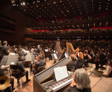 De elefanta a pilha de currículos para a escolha do 1º maestro: os causos da Orquestra Sinfônica