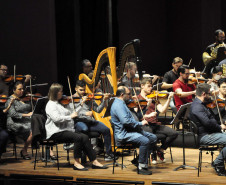 Entre famílias de instrumentos, movimentos e disposição: como funciona a Orquestra Sinfônica