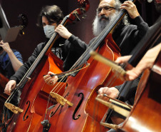 Entre famílias de instrumentos, movimentos e disposição: como funciona a Orquestra Sinfônica