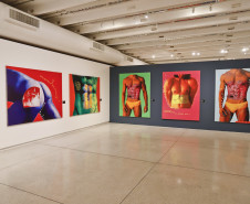 Exposição do artista Alex Flemming fica em cartaz até domingo no MON
