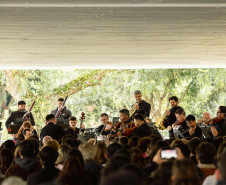 Entre famílias de instrumentos, movimentos e disposição: como funciona a Orquestra Sinfônica