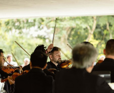 Entre famílias de instrumentos, movimentos e disposição: como funciona a Orquestra Sinfônica