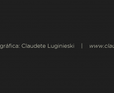 Concepção e projeto da Medalha de Mérito Cultural