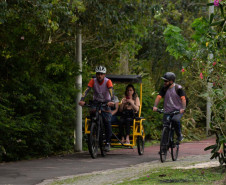 Entre letras e histórias: turismo literário do Paraná é cada vez mais reconhecido