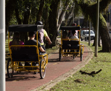 Entre letras e histórias: turismo literário do Paraná é cada vez mais reconhecido