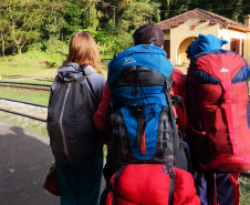 Patrimônio e natureza em perfeita sintonia: ação educativa celebra a Serra do Mar
