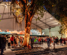 Biblioteca Pública estreia na Flip no ano em que a literatura do Paraná é destaque nacional