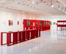 Bate-papo e visita guiada gratuita aprofundam universo de Rogério Dias no MAC-PR