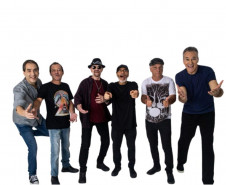 The Fevers
