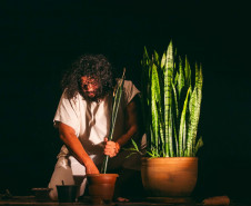 Esses são alguns dos destaques da programação semanal dos espaços culturais do Estado, que inclui museus, teatros e a Biblioteca Pública do Paraná.