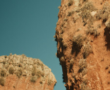 Entre arte e natureza: MUPA oferece diversas atividades na 19° Primavera dos Museus