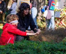 Entre arte e natureza: MUPA oferece diversas atividades na 19° Primavera dos Museus