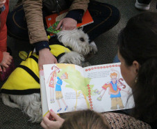 Biblioteca Pública do Paraná (BPP) -  SEÇÃO INFANTIL - Leitura amiga - As crianças escolhem seus livros preferidos e leem com os animais adestrados do Instituto Cão Amigo &amp; Cia.