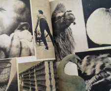 Cadernos de artista em foco: palestra com o pesquisador italiano Simone Rossi no MUPA