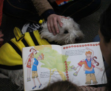 Biblioteca Pública do Paraná (BPP) - Brincando de Ler Atividades de estímulo à procura de diferentes livros e leitura no espaço, além troca de escolhas temáticas entre as crianças.