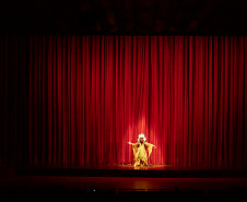Entrega da reforma do telhado do Teatro Guaíra / parceria da AUDI - Apresentação de Ballet para 600 crianças de escolas públicas.