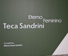 Exposição “Eterno Feminino”, da artista Teca Sandrini, entra na reta final no MON
