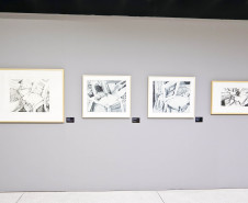Exposição “Eterno Feminino”, da artista Teca Sandrini, entra na reta final no MON