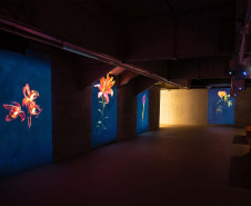 Com oficina de estêncil e interação com exposição, MON divulga agenda de dezembro