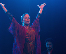 Espetáculo de dança e música "Él Arbol", da Aire Flamenco