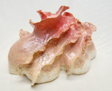 Academia Alfredo Andersen abre temporada de exposições com cerâmica artística. Foto: Divulgação MCAA