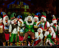 Três novidades no MON, Natal no Guaíra e estreia no MUPA estão na agenda cultural