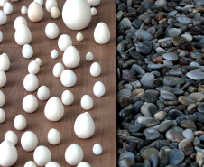 MAC Paraná encerra 2025 com retomada da sede histórica, expansão regional e programação comemorativa dos 55 anos