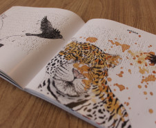 Referência em acessibilidade, Seção Braille da BPP completa 57 anos de atendimento em 2026