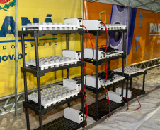 Show de Alok na abertura do Verão Maior Paraná terá 300 drones