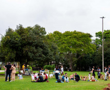 Com oficina de fotografia, ateliês e visitas, MON divulga programação especial de férias