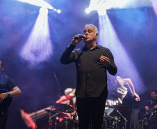 Gipsy King by Andre Reyes