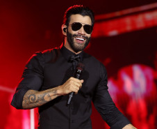 Fábio Jr., Gusttavo Lima e Raça Negra agitam próximo fim de semana do Verão Maior